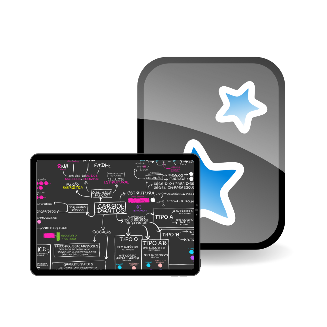 ANKI LOGO FM (4)